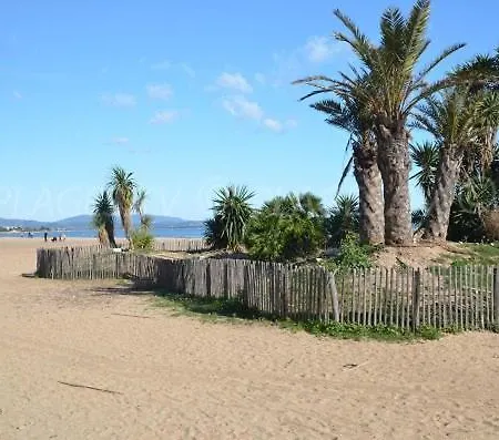 فيلة Au Bord De A Les Palmiers *