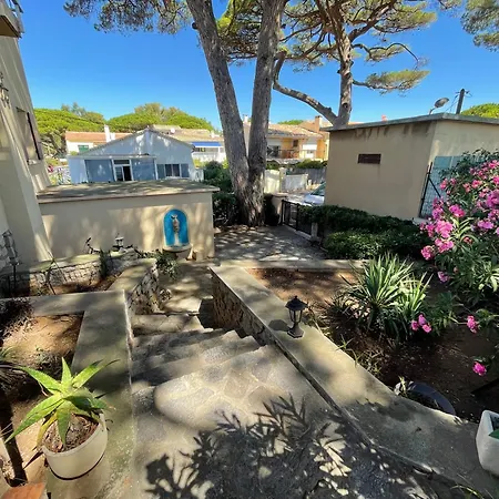 Au Bord De A Les Palmiers Villa Hyères